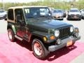 Moss Green Pearl - Wrangler Sahara 4x4 Photo No. 5