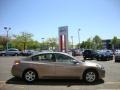 Pebble Beach Metallic - Altima 2.5 SL Photo No. 11