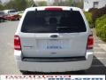 2010 White Suede Ford Escape XLT  photo #7