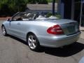Brilliant Silver Metallic - CLK 320 Cabriolet Photo No. 6