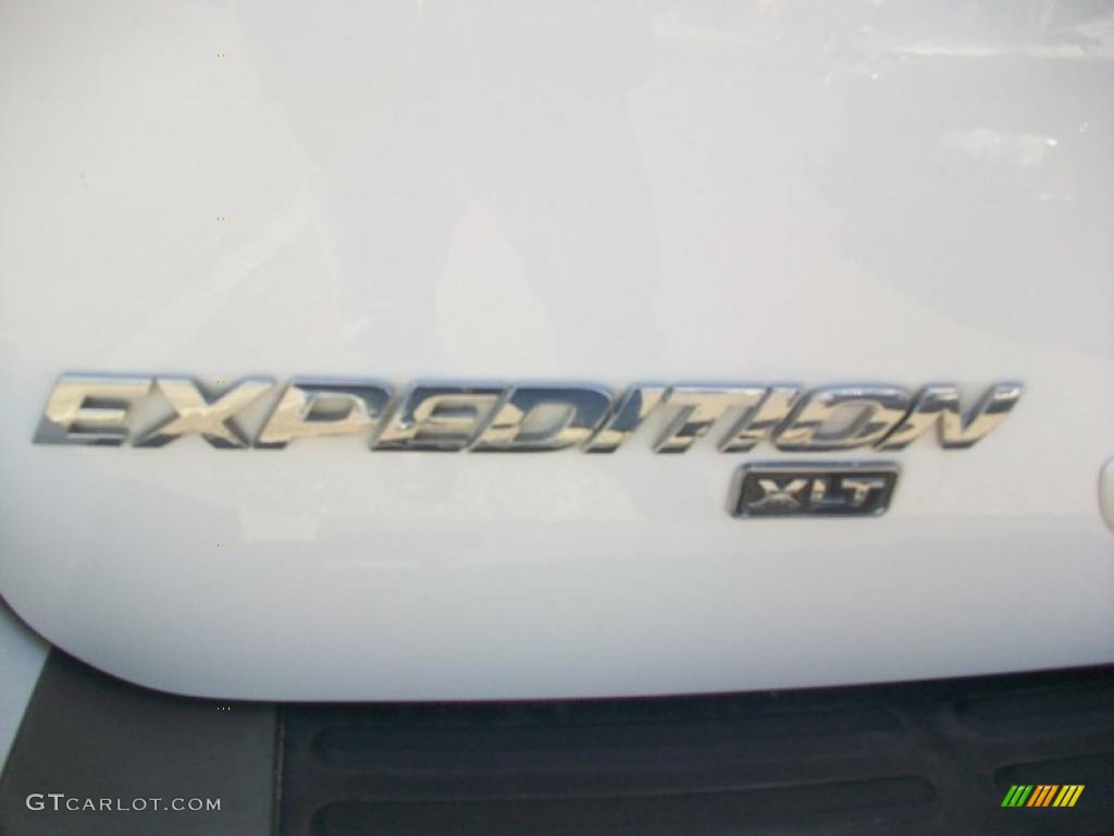 2003 Expedition XLT 4x4 - Oxford White / Flint Grey photo #10