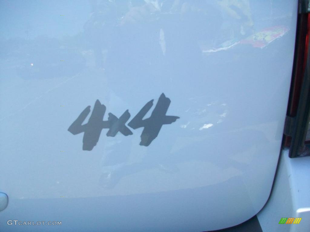 2003 Expedition XLT 4x4 - Oxford White / Flint Grey photo #11