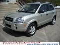 2007 Platinum Metallic Hyundai Tucson GLS  photo #2