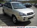 2007 Platinum Metallic Hyundai Tucson GLS  photo #4