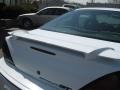 Arctic White - Grand Am GT Coupe Photo No. 18