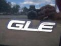 Super Black - Maxima GLE Photo No. 18