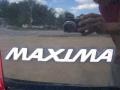 Super Black - Maxima GLE Photo No. 36