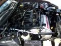 Super Black - Maxima GLE Photo No. 38