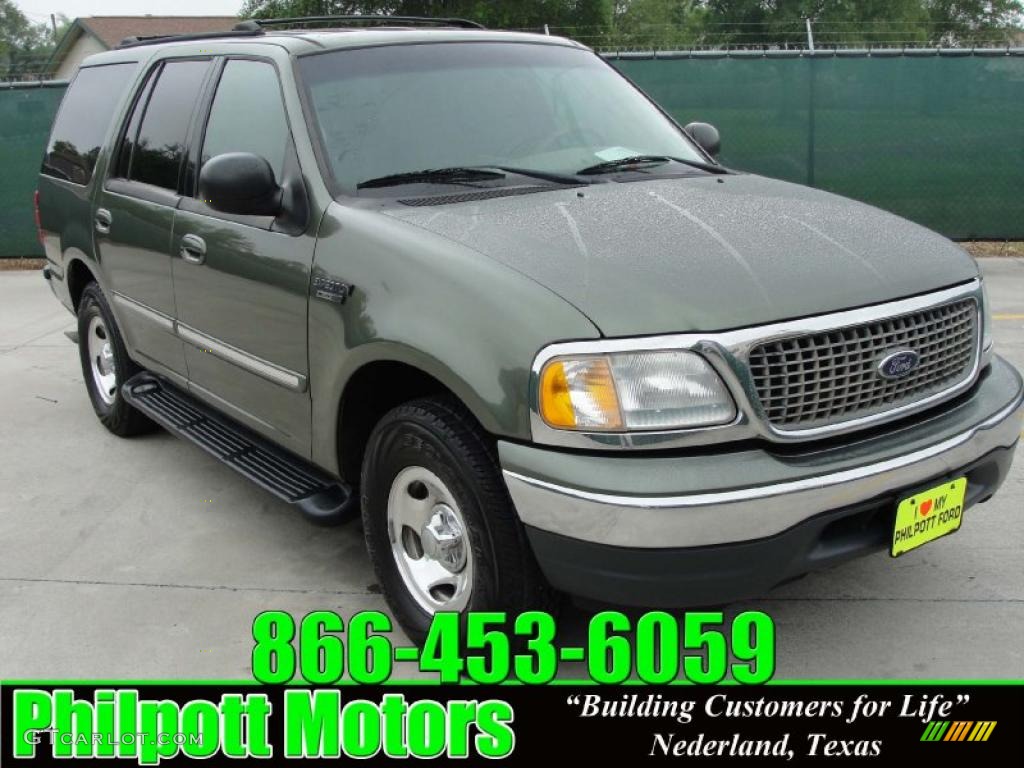 Estate Green Metallic Ford Expedition