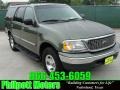 Estate Green Metallic - Expedition XLT Photo No. 1