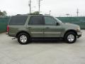 Estate Green Metallic - Expedition XLT Photo No. 2