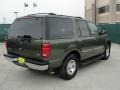 2001 Estate Green Metallic Ford Expedition XLT  photo #3