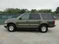 Estate Green Metallic - Expedition XLT Photo No. 6