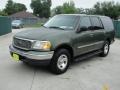 Estate Green Metallic - Expedition XLT Photo No. 7