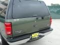 Estate Green Metallic - Expedition XLT Photo No. 22