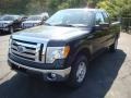 2010 Tuxedo Black Ford F150 XLT SuperCab 4x4  photo #10