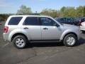 2010 Ingot Silver Metallic Ford Escape XLT V6 4WD  photo #2