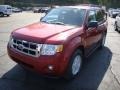 2010 Sangria Red Metallic Ford Escape XLT V6 4WD  photo #10