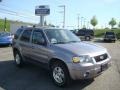 Tungsten Grey Metallic 2007 Ford Escape Limited