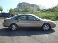 2007 Arizona Beige Metallic Ford Taurus SE  photo #2