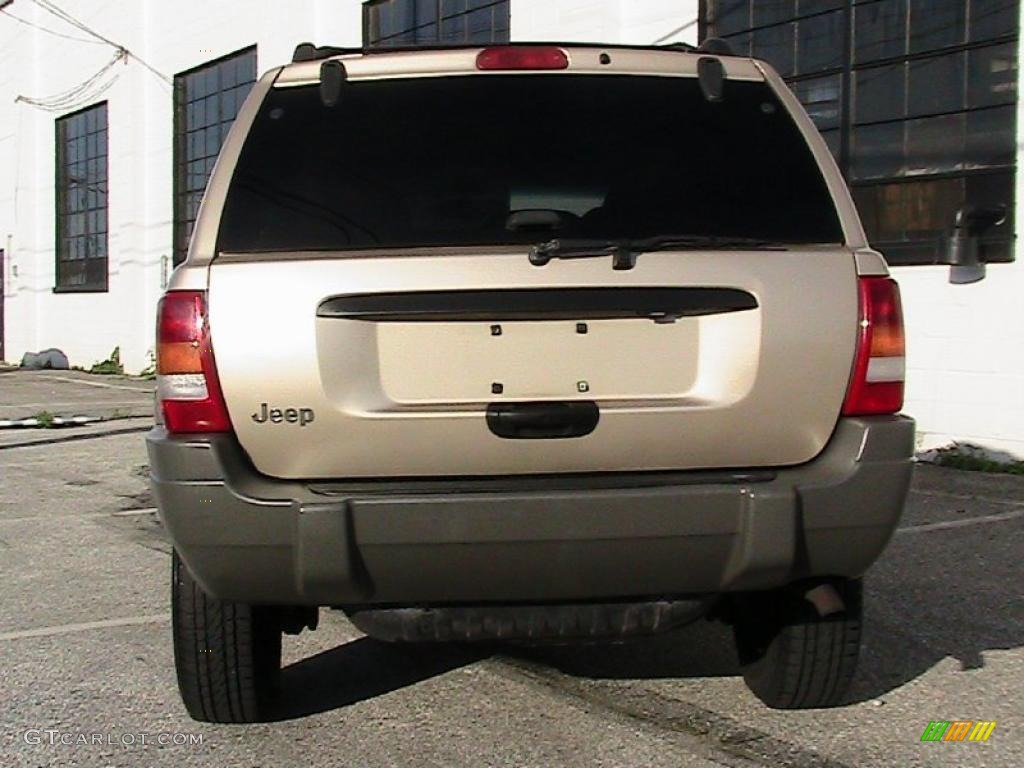 2000 Grand Cherokee Laredo 4x4 - Champagne Pearlcoat / Camel photo #10