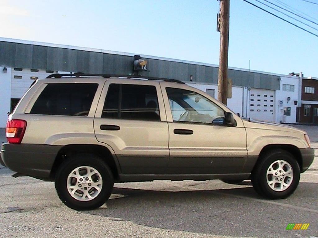 2000 Grand Cherokee Laredo 4x4 - Champagne Pearlcoat / Camel photo #14