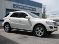 2010 Arctic White Mercedes-Benz ML 350 4Matic  photo #3