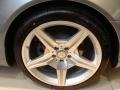 Palladium Silver Metallic - SL 550 Roadster Photo No. 15