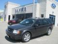 2007 Alloy Metallic Ford Freestyle Limited AWD  photo #1