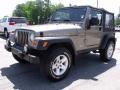 Light Khaki Metallic - Wrangler Rubicon 4x4 Photo No. 4