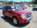 Redfire Metallic - Escape Limited 4WD Photo No. 6