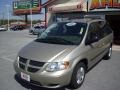 Linen Gold Metallic Pearl - Caravan SXT Photo No. 2