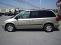 Linen Gold Metallic Pearl - Caravan SXT Photo No. 9
