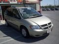 Linen Gold Metallic Pearl - Caravan SXT Photo No. 11