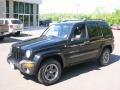Black Clearcoat 2004 Jeep Liberty Rocky Mountain Edition 4x4
