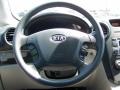 2008 Fine Silver Kia Rondo LX V6  photo #18