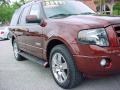 Dark Copper Metallic - Expedition Limited Photo No. 2