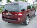 Dark Copper Metallic - Expedition Limited Photo No. 6