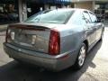 2006 Silver Smoke Cadillac STS V6  photo #6