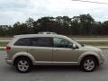 2009 Light Sandstone Metallic Dodge Journey SXT  photo #10