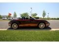 Carmon Red Metallic - Boxster  Photo No. 7