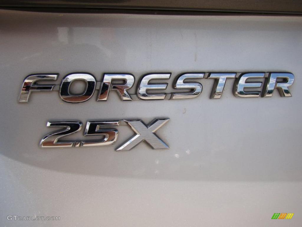 2004 Forester 2.5 X - Platinum Silver Metallic / Gray photo #37