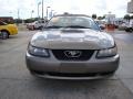 2001 Mineral Grey Metallic Ford Mustang V6 Convertible  photo #3