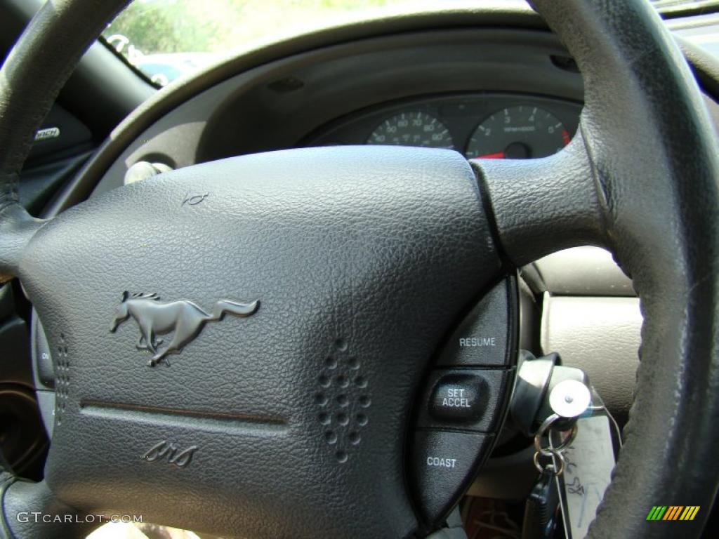 2001 Mustang V6 Convertible - Mineral Grey Metallic / Dark Charcoal photo #22