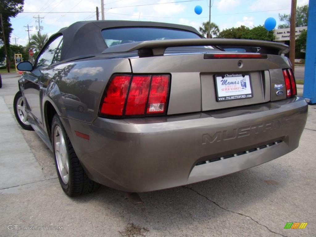 2001 Mustang V6 Convertible - Mineral Grey Metallic / Dark Charcoal photo #33