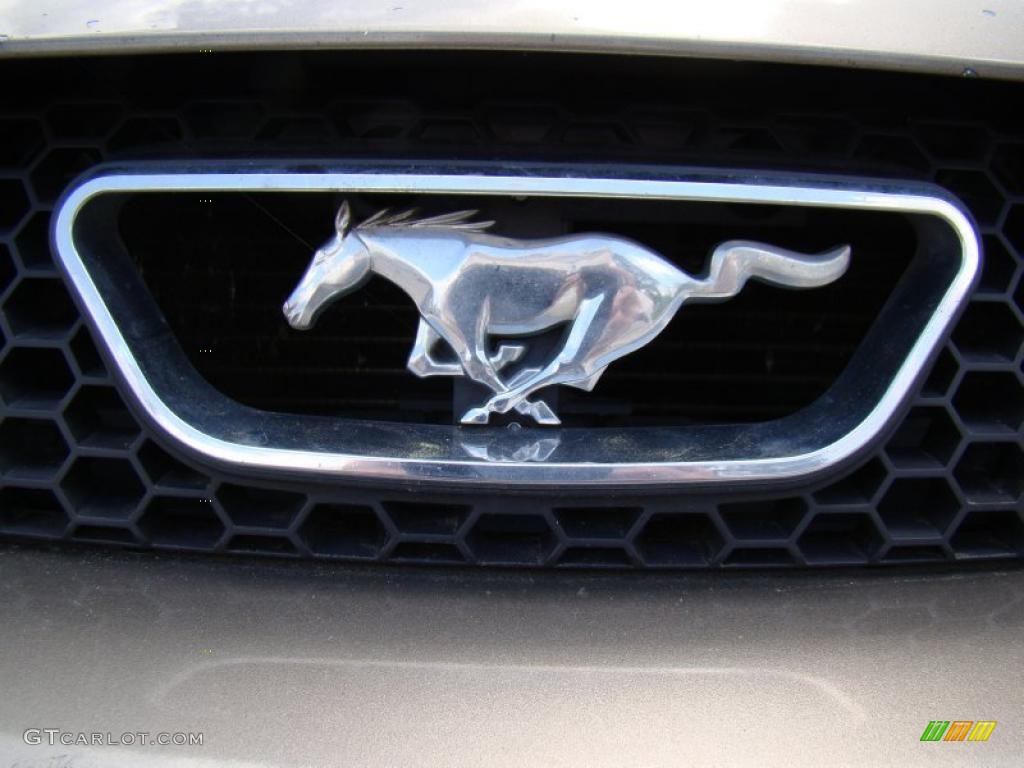 2001 Mustang V6 Convertible - Mineral Grey Metallic / Dark Charcoal photo #34