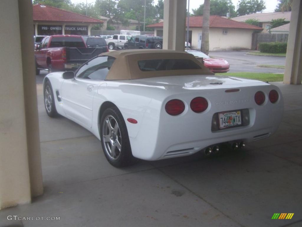 1998 Corvette Convertible - Arctic White / Light Oak photo #5