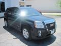 2010 Onyx Black GMC Terrain SLE  photo #2