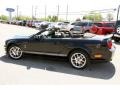 2007 Black Ford Mustang Shelby GT500 Convertible  photo #13