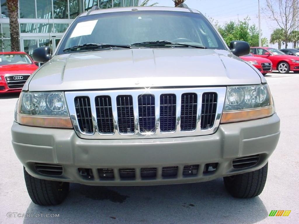 2002 Grand Cherokee Laredo - Silverstone Metallic / Dark Slate Gray photo #8